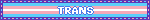 a blinkie with the trans flag behind it that says &quot;trans&quot;
